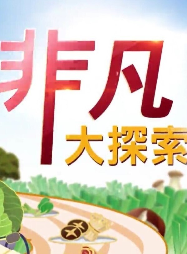 网红吃瓜清纯反差表焕儿在床上果然不一样 - Lvmao海报